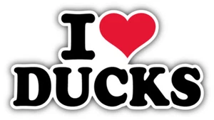 Adesivo decalcomania paraurti auto slogan I Love Ducks - ''TAGLIE'' - Foto 1 di 1