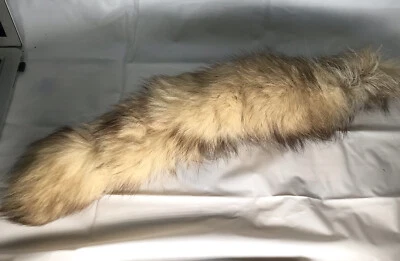 Envoltura de cuello de piel genuina vintage Foto 1 de 4