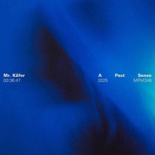 Mr. Käfer - A Past Sense [Used Very Good Vinyl LP] - Image 1 of 1