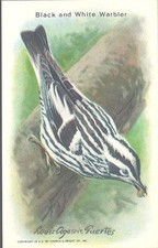 Church & Dwight - Useful Birds of America, 9th Series - 6