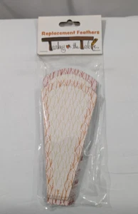 Turkey On The Table Replacement Feathers Give Thanks New Thanksgiving - Picture 1 of 5