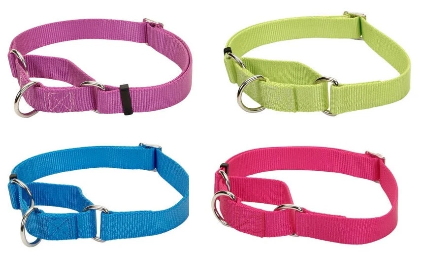 Adjustable No Slip collar for dog XXS to L 4 colors High quality - Image 1 of 1