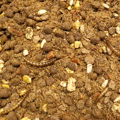 Supravit Igelfutter mit Insekten 5kg -  Igelfutter mit Mehlwürmern & Krebstieren - Bild 1 von 3