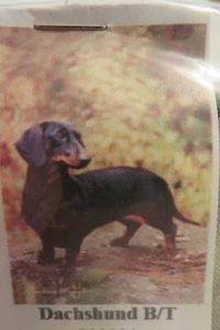 Razza di cane bassotto nero e marrone, cane viennese, cane cucciolo, bandiera decorativa da giardino - Foto 1 di 3