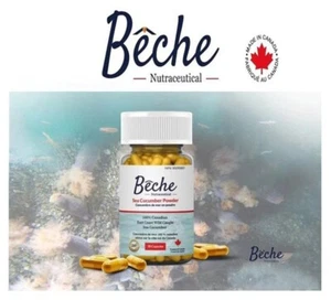 加拿大 Bêche 100%海參粉膠囊 30粒入(Bêche 100% Sea Cucumber Powder Capsule 30Caps) - Bild 1 von 12