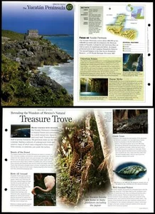 Yucatan Peninsula #67 Habitat - Discovering Wildlife Fact File Fold-Out Card - Picture 1 of 1