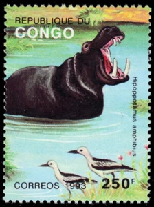 P.R. KONGO 1013 - Nilpferd "Hippopotamus amphibius" (pb89736) - Bild 1 von 1