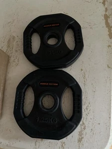 Circular Weights 1.25 Kg New - Picture 1 of 3