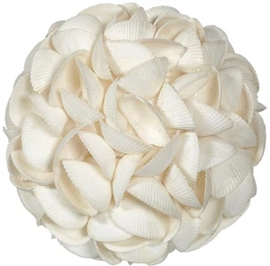 Deko Arche Muschelkugel 8 Zoll - Bild 1 von 1