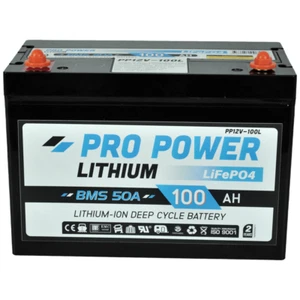 100AH 12V Pro Power Lithium, Camping Caravan Deep Cycle Battery - Picture 1 of 12