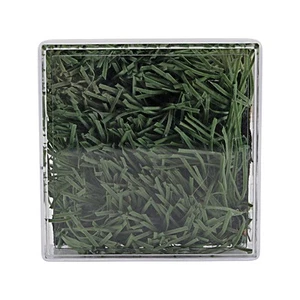 Ohio State 2 3/4 Square of Green/White Ohio Stadium Main Field Turf (2014-2021) - Imagen 1 de 1
