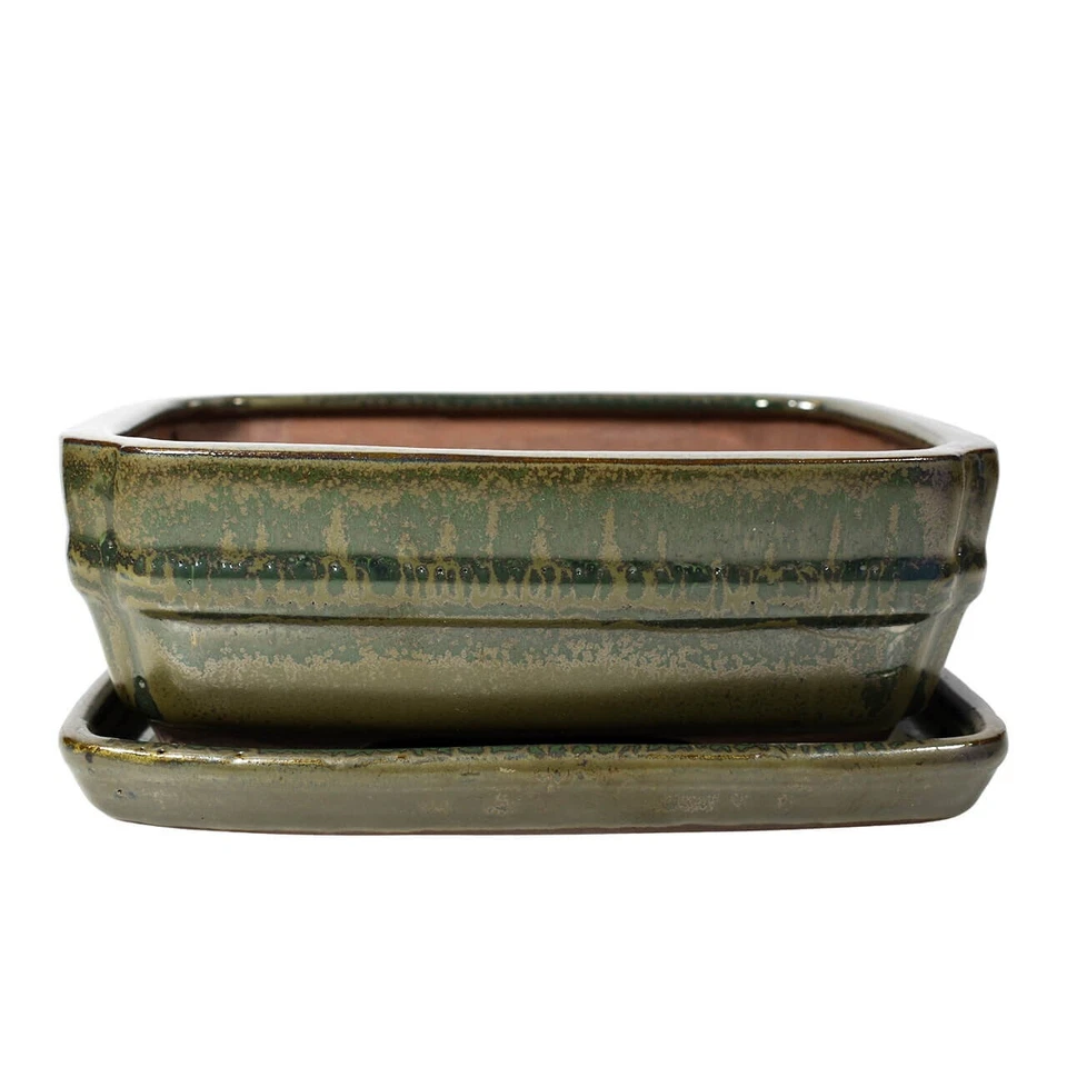 Green Bonsai Pot & Drip Tray | 160x120x55 | Glazed Ceramic Pot | Rectangle - Image 1 of 1