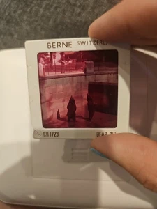 #DT 35mm slide - Vintage - Collectibles - Photo - Commercial Bear Pits berne - Picture 1 of 1
