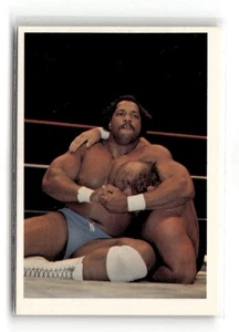 1988 Wonderama WCW NWA - Ron Simmons #10 - Bild 1 von 2
