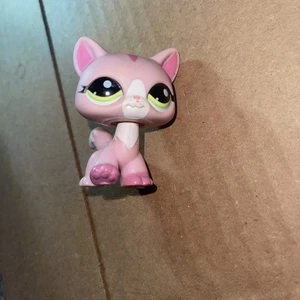LPS #1788 LITTLEST PETSHOP ORIGINAL CHAT CAT AUTHENTIQUE MAINE COON HASBRO - Picture 1 of 4