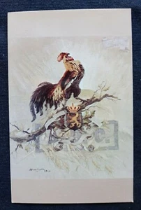 IOWA West Zweigstelle Herbert Hoover Präsidentenbibliothek Mehlsack HAHN Postkarte - Bild 1 von 2