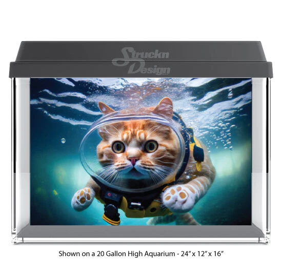 Snorkeling Naranja Gato Poliéster Pecera Telón de Fondo de Vidrio Fondo de Acuario Foto 1 de 1