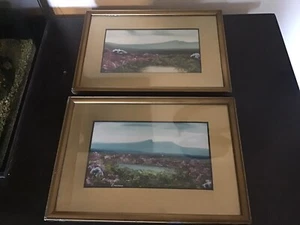 Antica coppia di dipinti vintage dorati incorniciati smaltati originali firmati guazzo - Foto 1 di 14