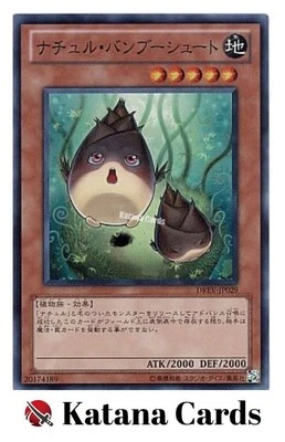 Yugioh Cards | Naturia Bamboo Shoot Super Rare | DREV-JP029 Japanese - Image 1 of 4