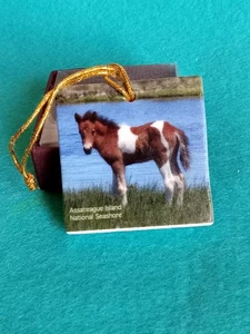 Assateague Seashore Horse Christmas Ornament Stone Screencraft Gifts Beach Ocean - Picture 1 of 7