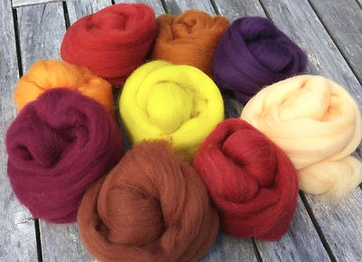 4 oz Autumn Fall 9 color Merino Wool top Sampler Pack - Spin, Felt, Crafts FAST - Image 1 of 3
