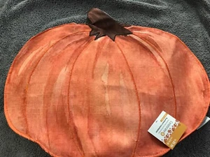 4 Harvest Thanksgiving Pumpkin Placemat Celebrate It New - Picture 1 of 3