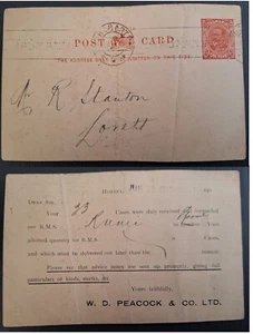 1911 Tasmania Australia KEV11 PrePrinted Postcard W.D. Peacock&Co Hobart-Lovett - Bild 1 von 3