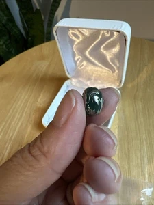 Stone Armory Hand Painted MSU Spartan Charm Michigan State Fits Bead Slide Style - Picture 1 of 9