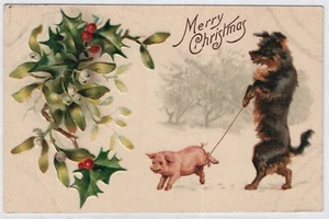 Merry Christmas, Dog Walking Pig, Embossed Printed Postcard, Postmarked 1909 - Picture 1 of 2