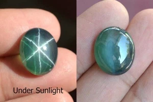 15,85 ct 16,2x13,6 mm Smaragdgrüner Sternsaphir 6 Strahlen Laborkorund EGS9328 - Bild 1 von 7