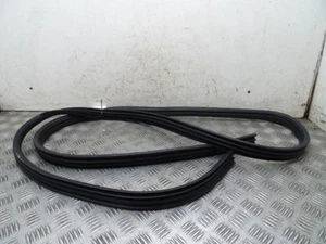 Sello de goma para puerta delantera exterior conductor derecho Nissan Qashqai J10 2006-2014U - Imagen 1 de 3