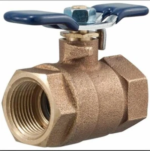 OEM Febco 765-1 1" Ball Valve Full Port - T Handle - PVB - FPT 1" x FPT 1" 765 - Picture 1 of 7