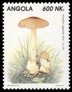 ANGOLA 889 - Hongos "Amantia vaginata" (pb50207) - Imagen 1 de 1