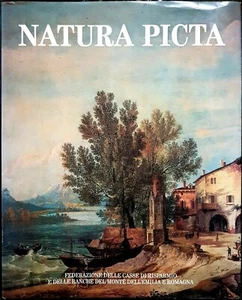 Giuseppe Adani e Piero Orlandi (a cura), Natura picta, Ed. Amilcare Pizzi, 1992 - Picture 1 of 2