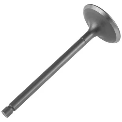 Intake Valve for Yamaha Bear Tracker 250 YFM250X 2WD 1999-2004 — 第 1/4 张图片