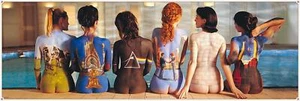 Pink Floyd Poster 6 Girls Bodypainting 158 x 53 cm - Bild 1 von 1