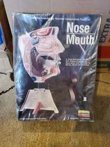 Nose / Mouth Model Kit - Life Size Anatomically Accurate No. 1339 By Lindberg - Picture 1 of 5