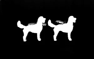 Labradoodle Dog Cufflinks Mens Novelty Dog Shirt Cufflinks In White - Picture 1 of 1