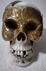 SKULL WITH MASQUEERADW MASK RESIN 9 INCH X 7 INCH