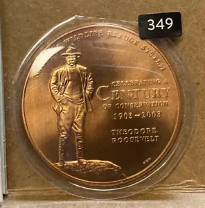 JAHRHUNDERT DER ERHALTUNG ROOSEVELT US NEUWERTIG BRONZEDAILLE 1,5" 349 - Bild 1 von 2