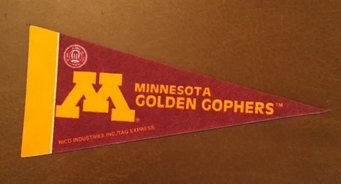 Minnesota Golden Gophers 4" x 9" Mini Pennant Cover