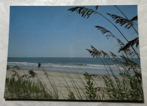Greetings From Myrtle Beach, S.C. (See Tac Holes In Top Middle Of Postcard) (C3) - Picture 1 of 3
