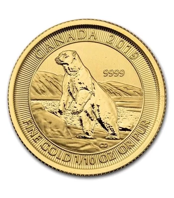Золотая монета 1/10 унции ~ Королевский канадский монетный двор ~ белый медведь ~ чистое золото 0,9999 ~ запечатанная - Изображение 1 из 4