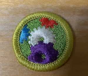 PFADFINDER MASCHINEN VERDIENSTABZEICHEN TYP H NEU - Bild 1 von 4