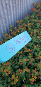 Highside Buckets Tiffany Pink Blade Stainless Putter gefräster Graphitschaft HC 34 - Bild 1 von 8