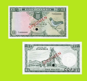 Zambia 1 Pound 1964 - Copy - Picture 1 of 1