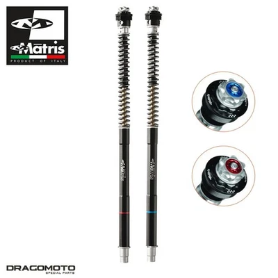 Kit forcella DUCATI Panigale 1199 R 2013-2017 MATRIS F25D112SA Anteriore - Imagem 1 de 3
