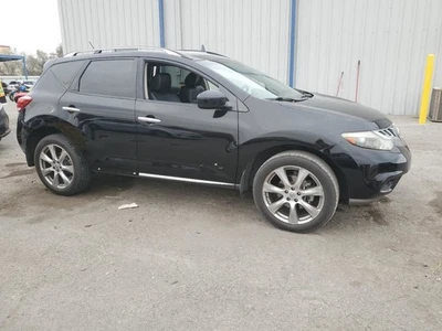 Grille Fits 11-14 MURANO 2418841 - Изображение 1 из 4