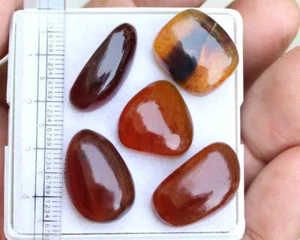 27.90 Ct Designer Natural Baltic Amber Fancy cabochon Loose Gemstone 5 Piece - Picture 1 of 3