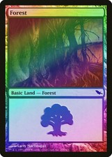 Forest (298) FOIL Shadowmoor HEAVILY PLD Basic Land MAGIC MTG CARD ABUGames